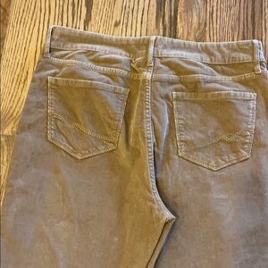 NYDJ Ladies Cords EUC Size 14